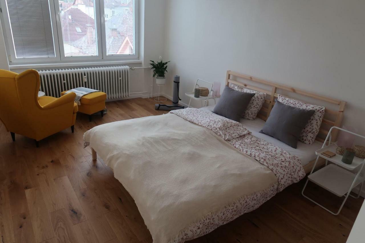 Hniezdo V Raji 1 - Luxurious Apartment 3 Min Walk To City Center Spisska Nova Ves Exterior photo